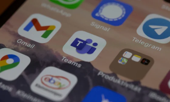 Application mobile native vs cross-platform